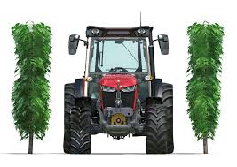 MF 3WF Massey Ferguson